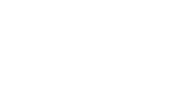 verena götz logo